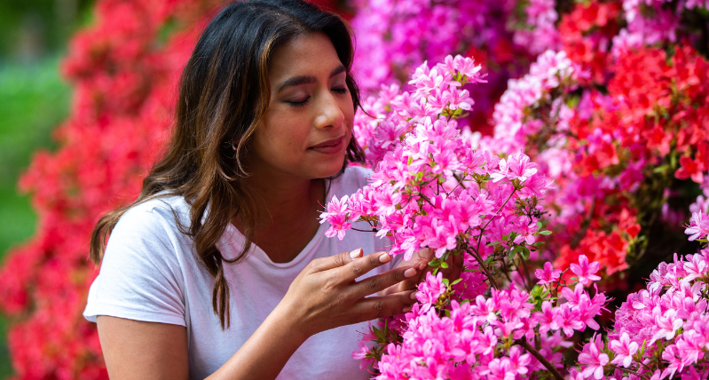 Spring at Westonbirt, Johnny Hathaway